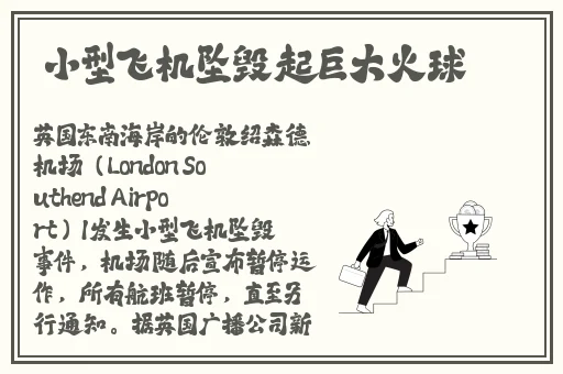 外国人打扑克又痛又叫